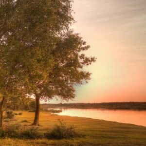 Kinderwunsch bei hormonellen Dysbalancen – der Weg zum Ziel