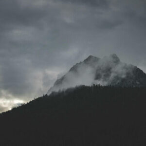 Neue & alte Infektionsrisiken: Von Brucella zu Borna, der Weg in die chronische Krankheit [Digital]